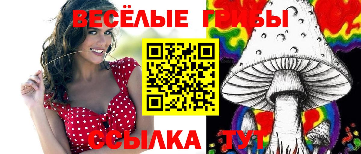 Галлюциногенные грибы Psilocybine cubensis  Вход с VPN  Галлюциногенные грибы Cubensis  Заинск 