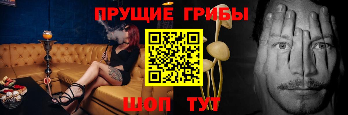 Псилоцибиновые грибы мицелий Заинск