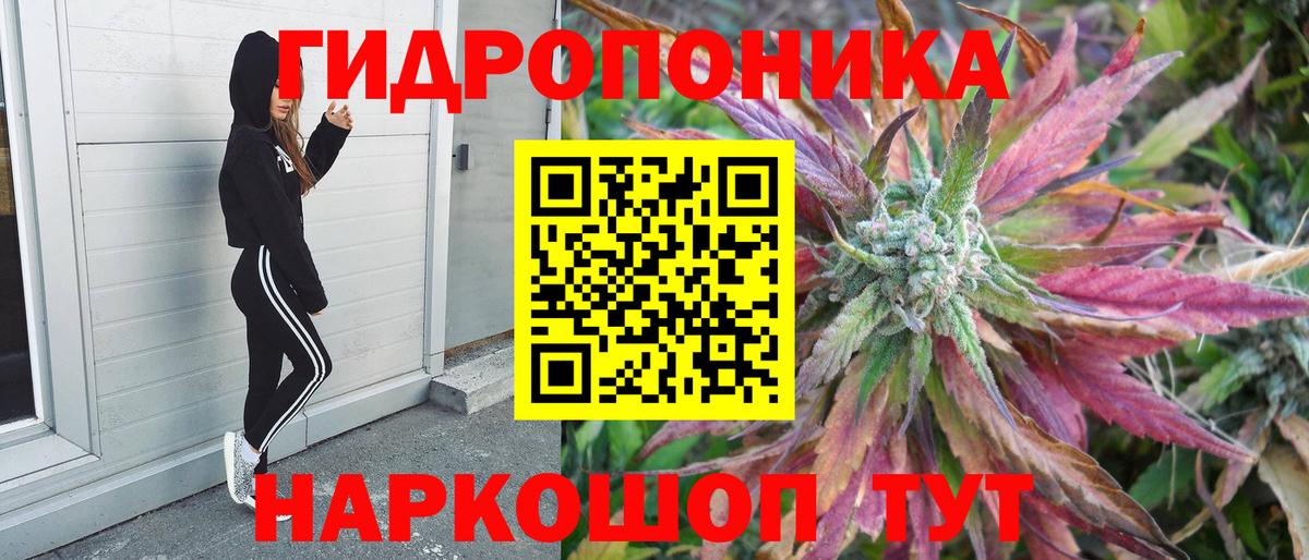Псилоцибиновые грибы Заинск